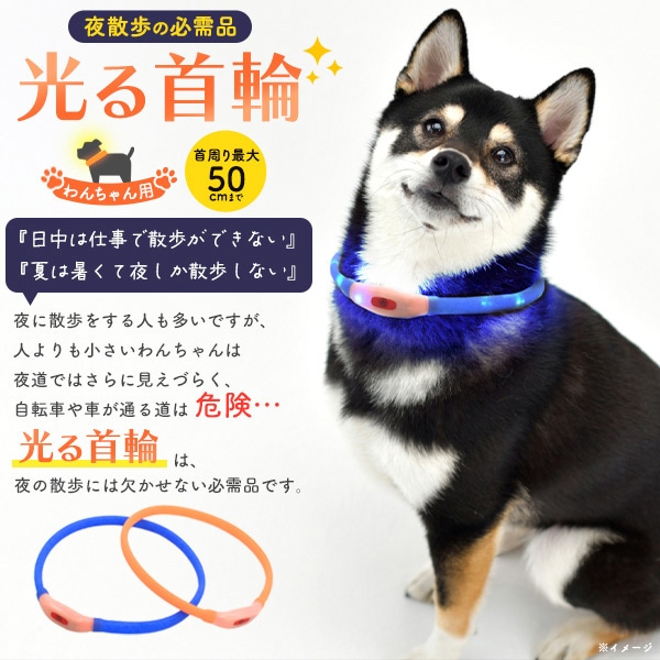 プラタ 犬用 光る首輪 50cm ブルー pt1-102 1個(ご注文単位1個)【直送品】