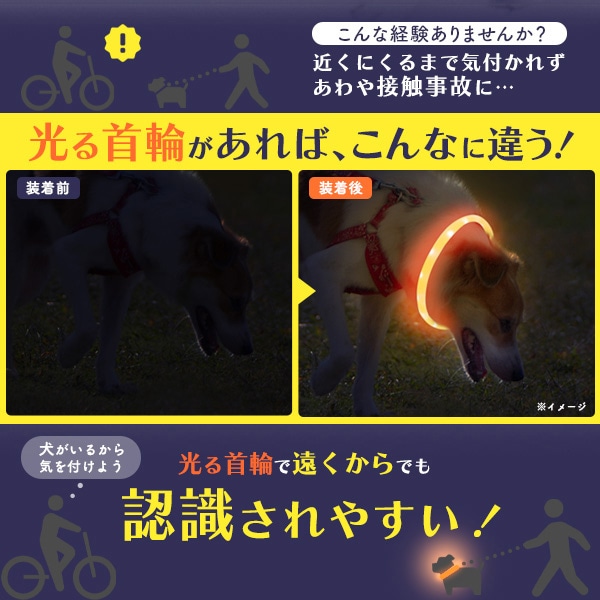 プラタ 犬用 光る首輪 50cm オレンジ pt1-102 1個（ご注文単位1個）【直送品】