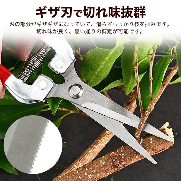 プラタ 芽切ばさみ pt1-173 1個（ご注文単位1個）【直送品】