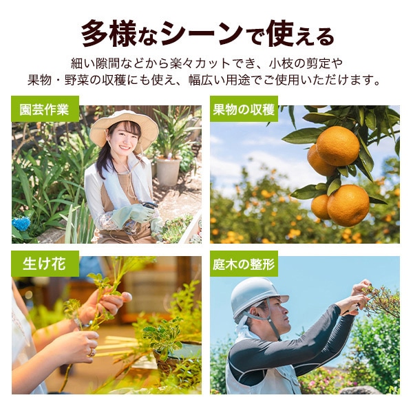 プラタ 芽切ばさみ pt1-173 1個（ご注文単位1個）【直送品】