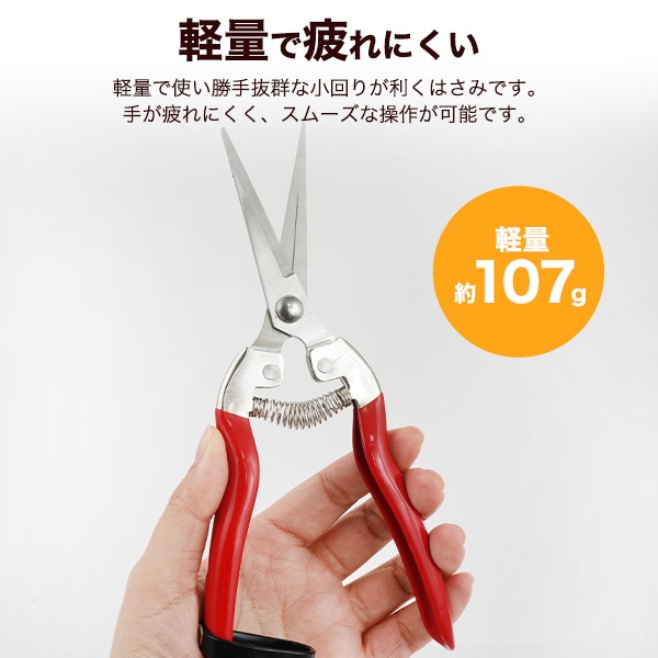 プラタ 芽切ばさみ pt1-173 1個（ご注文単位1個）【直送品】