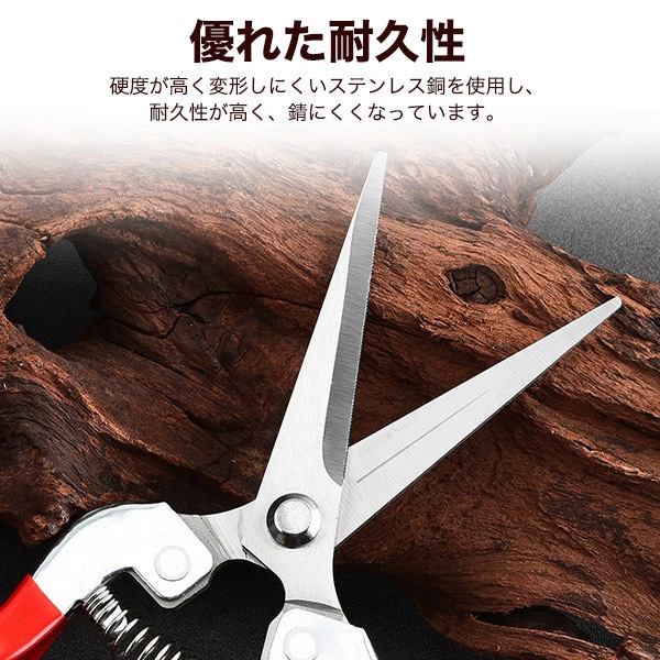 プラタ 芽切ばさみ pt1-173 1個（ご注文単位1個）【直送品】