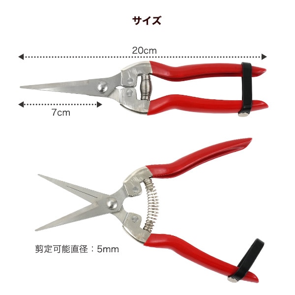 プラタ 芽切ばさみ pt1-173 1個（ご注文単位1個）【直送品】