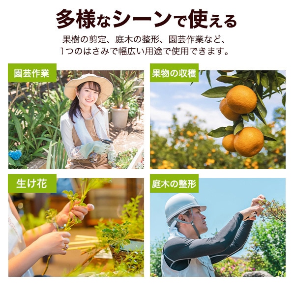 プラタ 剪定ばさみ 高硬度炭素鋼刃 pt1-173-03 1個(ご注文単位1個)【直送品】