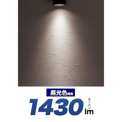 プラタ LEDダクトレールスポットライト ブラック本体 昼光色 led188cw-bk 1台（ご注文単位1台）【直送品】