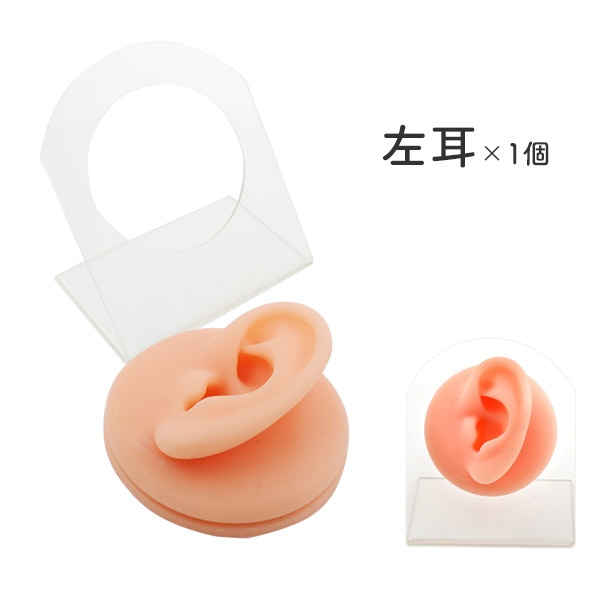 プラタ ディスプレイ用 耳模型 左耳 pt1-189-l 1個（ご注文単位1個）【直送品】