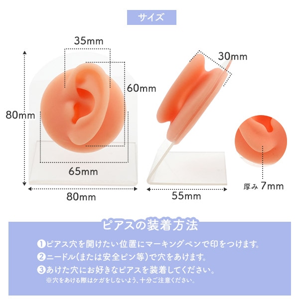 プラタ ディスプレイ用 耳模型 左耳 pt1-189-l 1個(ご注文単位1個)【直送品】
