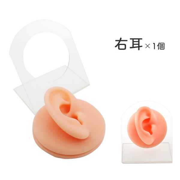 プラタ ディスプレイ用 耳模型 右耳 pt1-189-r 1個（ご注文単位1個）【直送品】