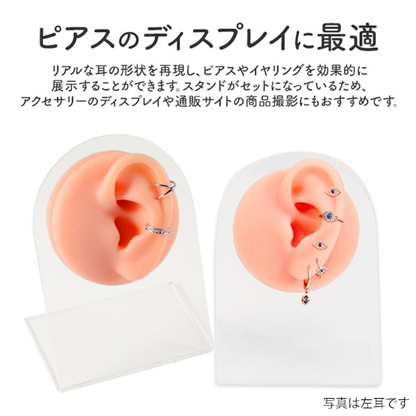 プラタ ディスプレイ用 耳模型 右耳 pt1-189-r 1個(ご注文単位1個)【直送品】