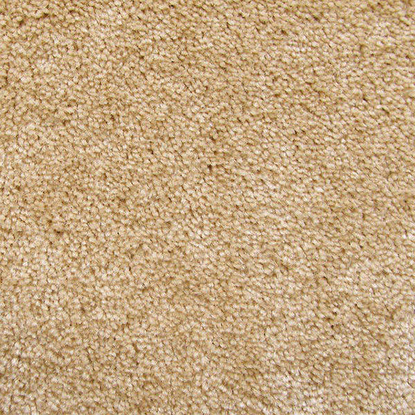 クリーンテックス・ジャパン 玄関マット 万能タイプ スタンダードマット S シャンペーン 75×90cm AM00051 1枚(ご注文単位1枚)【直送品】