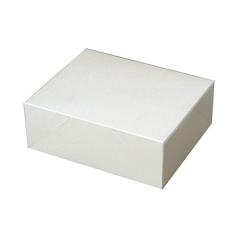 ペーパークラフト 食品箱　白無地箱　10個入 白中-10 120010 100枚/袋（ご注文単位6袋）【直送品】