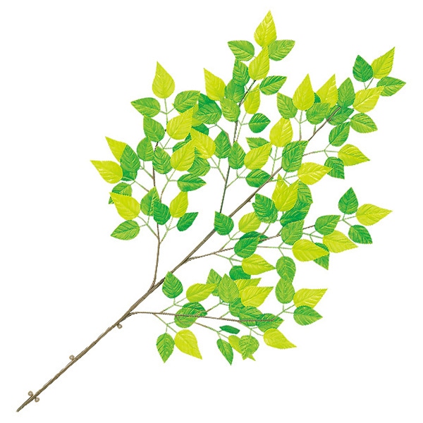 アルファ 若葉さわやか大枝 TY2-0117 1本（ご注文単位2本）【直送品】