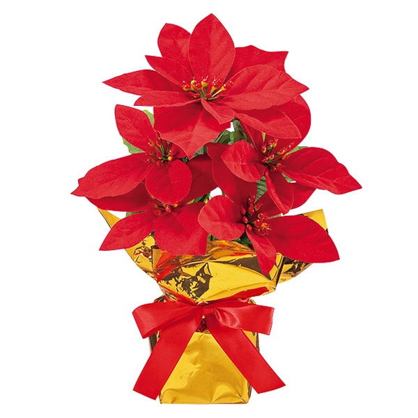 アルファ 23cmポインセチアローコストポット SC5-0004 1個（ご注文単位1個）【直送品】