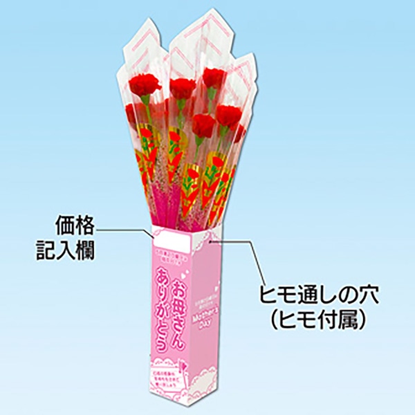 アルファ カーネーション 店頭販売キット 20本 MA1-2000 1セット（ご注文単位1セット）【直送品】