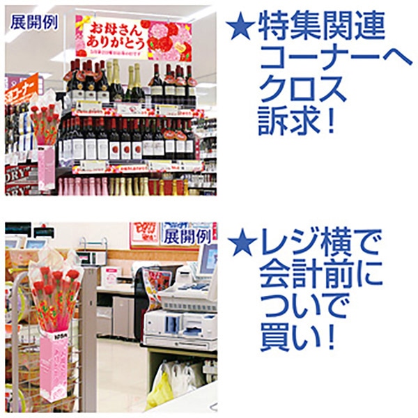 アルファ カーネーション 店頭販売キット 20本 MA1-2000 1セット（ご注文単位1セット）【直送品】