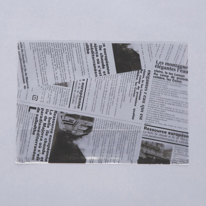 大阪ポリヱチレン販売 サンドウィッチ袋 ヨーロピアン 縦型サンド A ブラック 6573 100枚/袋(ご注文単位10袋)【直送品】