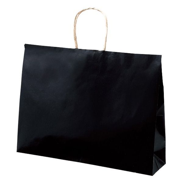 アルファ 紙手提げ袋 ブラック 横長 200枚入 GF8-0006 1セット（ご注文単位1セット）【直送品】