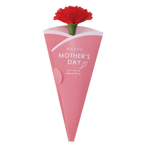 アルファ 母の日カーネーション メッセージカード付 MA1-0023M 1本（ご注文単位1本）【直送品】