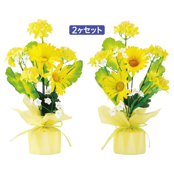アルファ 菜の花ラッピング 2個セット TE1-1383 1セット（ご注文単位1セット）【直送品】