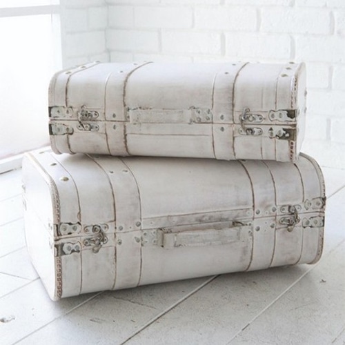 コベント・ガーデン SWアールトランク 2点セット XJ-03 1個（ご注文単位1個）【直送品】