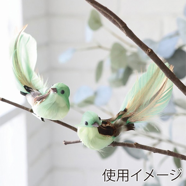 コベント・ガーデン グリーンバード アソート UT-10 1個（ご注文単位6個）【直送品】