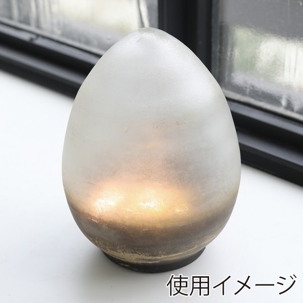 コベント・ガーデン オーバルガラス LEDライト AN-41 1個（ご注文単位2個）【直送品】