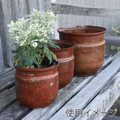 コベント・ガーデン コースタイル ジャーカップ 3点セット BD-04 1個（ご注文単位2個）【直送品】