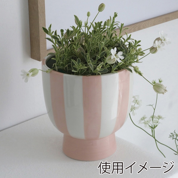 コベント・ガーデン シエル ピーチポット NA-27 1個（ご注文単位4個）【直送品】