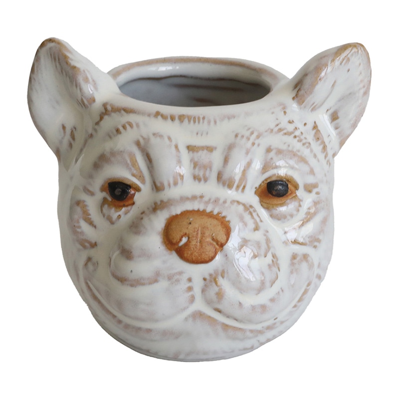 コベント・ガーデン アニマルカップ オルカ UL-02 1個(ご注文単位4個)【直送品】