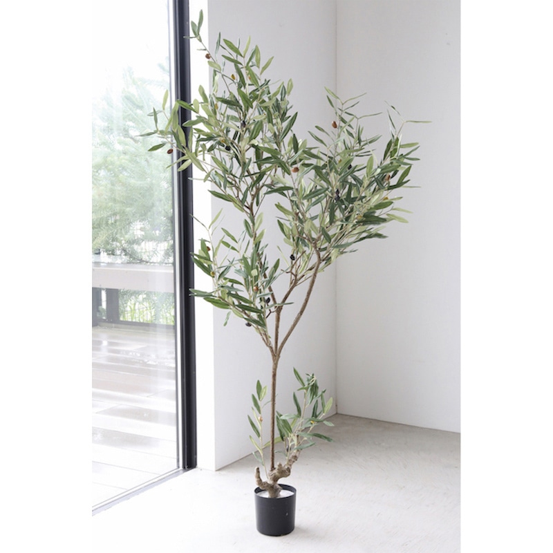 コベント・ガーデン フェイクグリーン オリーブ ワイディ LG-04 1個（ご注文単位1個）【直送品】