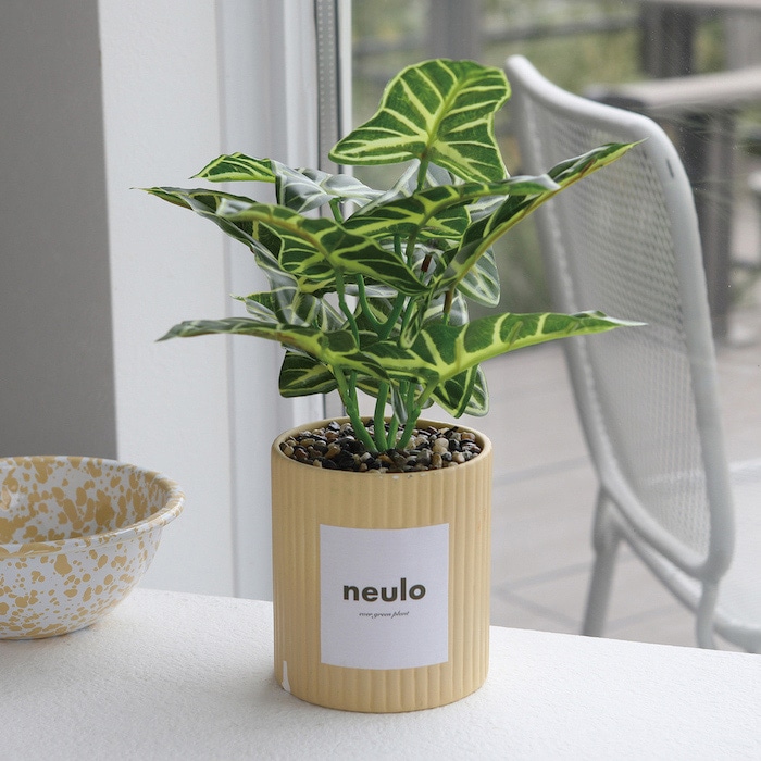 コベント・ガーデン フェイクグリーンポット yellow NA-54 1個（ご注文単位3個）【直送品】