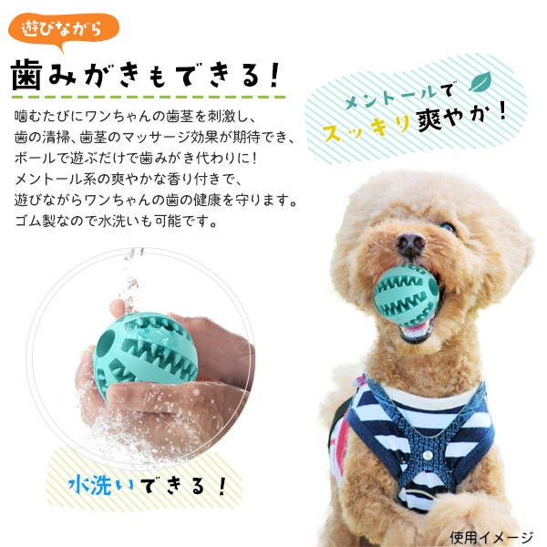 プラタ 歯磨きボール 小 オレンジ pt1-006 1個(ご注文単位1個)【直送品】