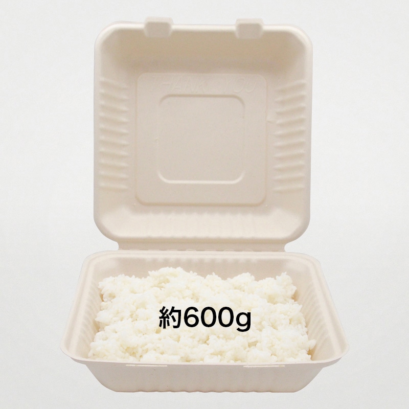 弁当容器 BB竹バガスランチボックス 230-230 50枚/袋(ご注文単位4袋)【直送品】