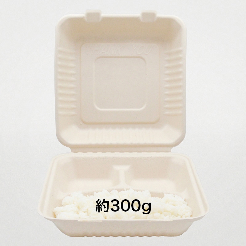 弁当容器 BBランチボックス 230-230-3 50枚/袋(ご注文単位4袋)【直送品】