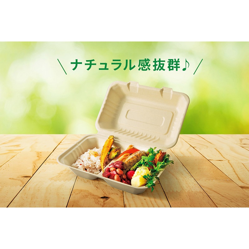 弁当容器 BBランチボックス 230-230-3 50枚/袋(ご注文単位4袋)【直送品】