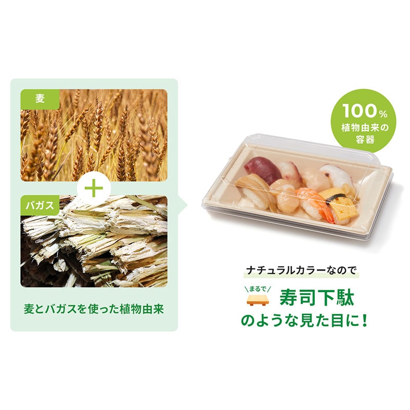 寿司容器 WB麦バガス ラミ 本体 N-10 50枚/袋(ご注文単位8袋)【直送品】