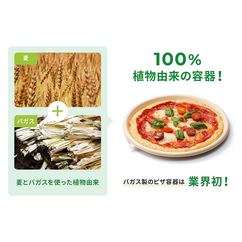 軽食容器 WB麦バガスピザ トレー 10インチハーフ 50枚/袋(ご注文単位9袋)【直送品】