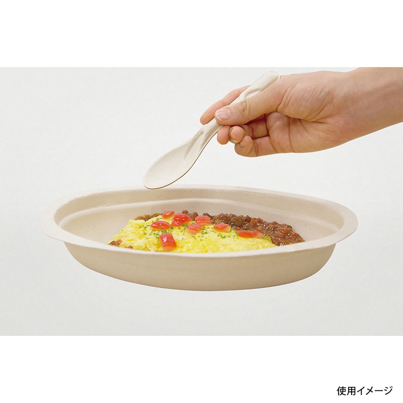 BB竹バガスカトラリー スプーン 単袋入 100本/袋(ご注文単位10袋)【直送品】