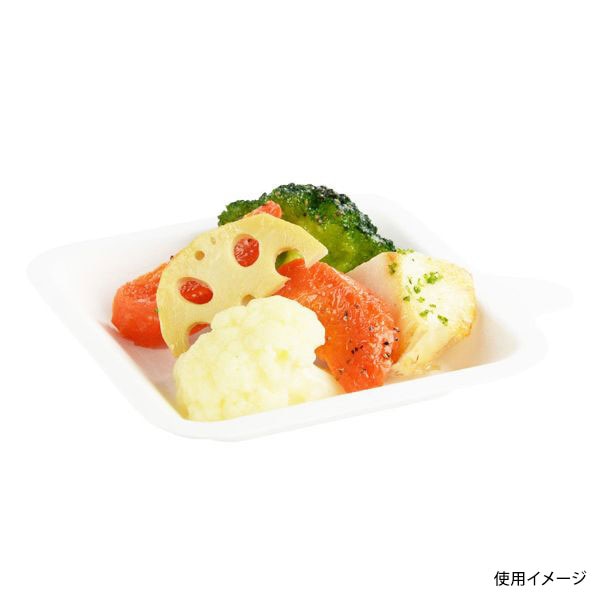 パックスタイル パルプモールド ABプレート 110×110 00705414 50枚/袋(ご注文単位16袋)【直送品】