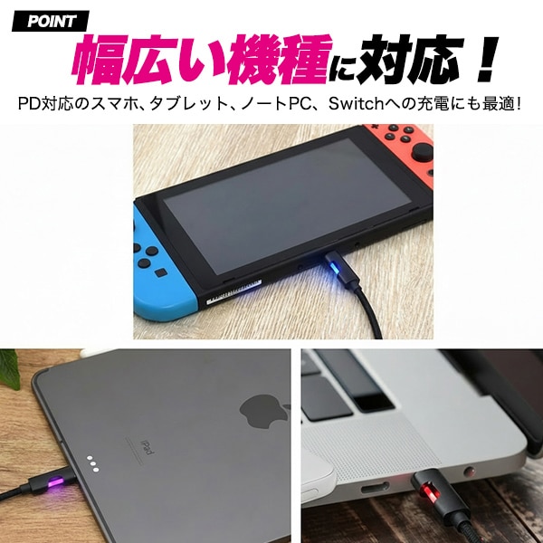 プラタ Type-C to C ケーブル 100cm ctoc60w-100 1本（ご注文単位1本）【直送品】