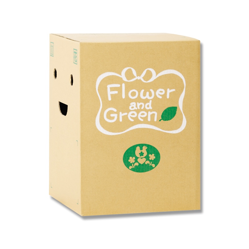 リード商事 花宅配用段ボール EB-1  1枚（ご注文単位50枚）【直送品】