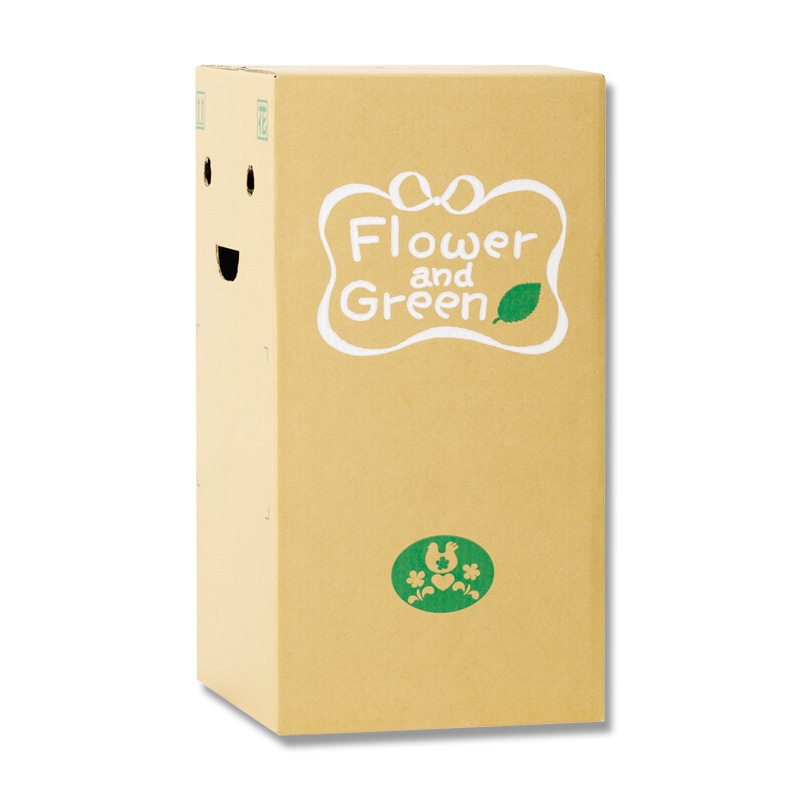 リード商事 花宅配用段ボール EB-2  1枚（ご注文単位45枚）【直送品】