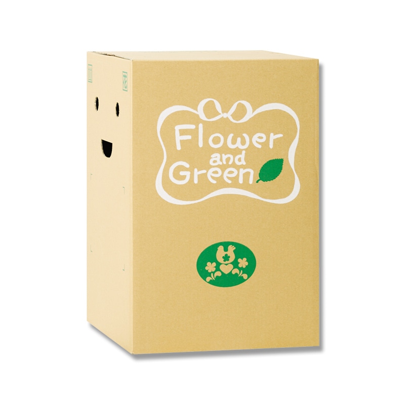 リード商事 花宅配用段ボール EB-3  1枚（ご注文単位40枚）【直送品】