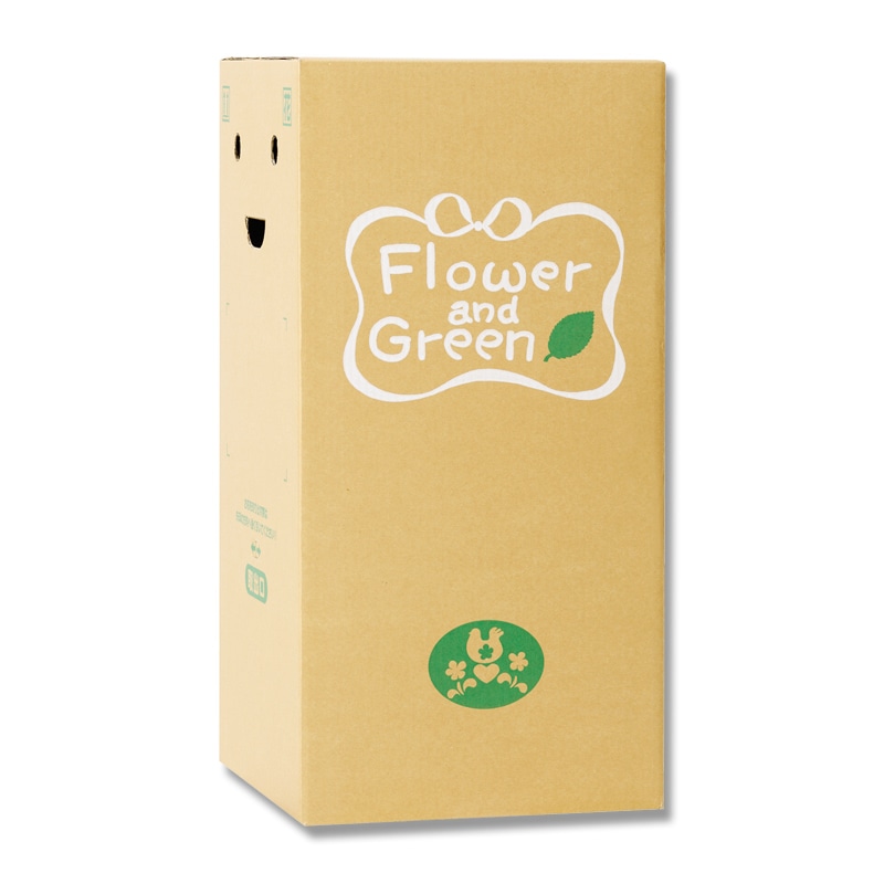 リード商事 花宅配用段ボール EB-4  1枚（ご注文単位30枚）【直送品】