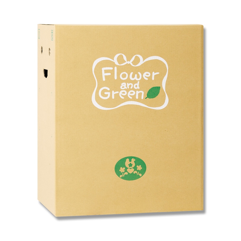リード商事 花宅配用段ボール EB-5  1枚（ご注文単位30枚）【直送品】