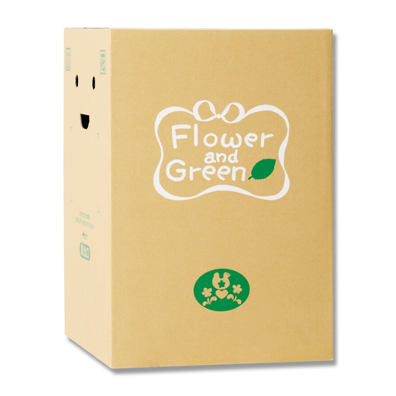 リード商事 花宅配用段ボール EB-6  1枚（ご注文単位30枚）【直送品】