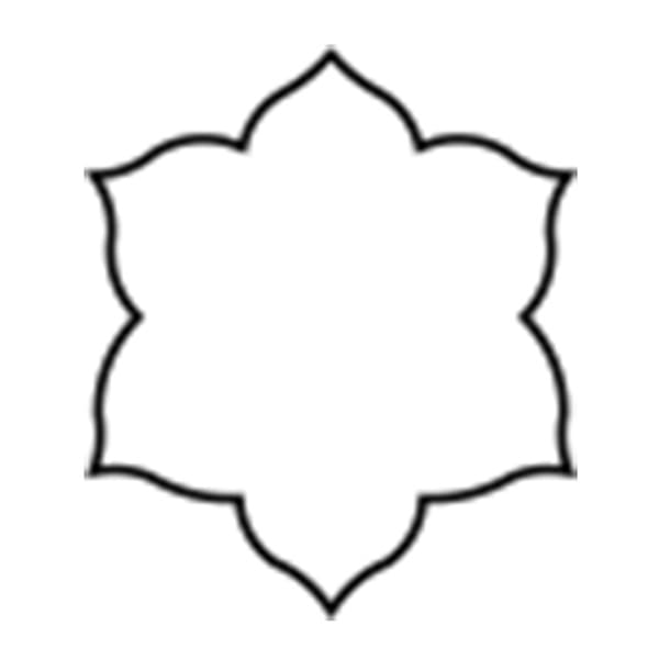 孝義　生抜 スイセン　D 373006120 1個（ご注文単位1個）【直送品】