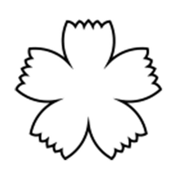 孝義 生抜 ナデシコ C 373006870 1個(ご注文単位1個)【直送品】