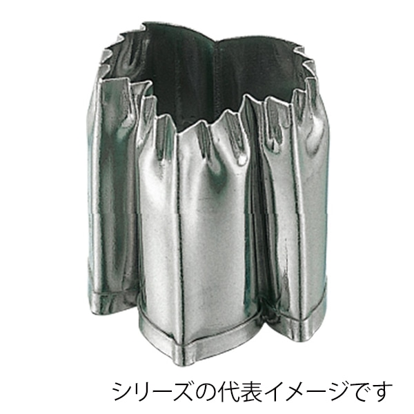 孝義　生抜 ツタ　B 373006490 1個（ご注文単位1個）【直送品】