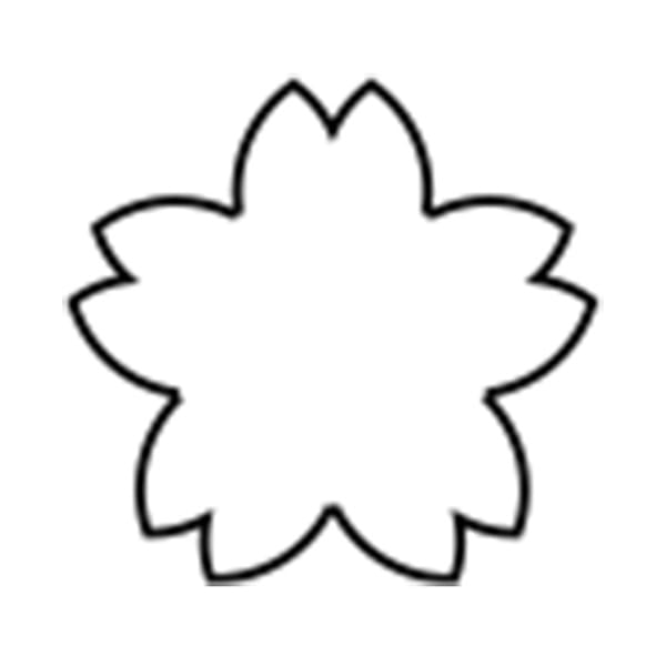 孝義 生抜 フカザクラ C 373007190 1個(ご注文単位1個)【直送品】